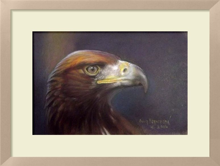 Eagle portrait